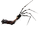 The Prototype (Geypeer)