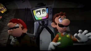 Mr. Puzzles capturing Mario and Luigi for discovering his plans.