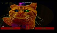Fredcat in right hall