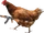 Chicken (Super Vadimka)