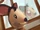 Penny (The Terrible Secret of Animal Crossing)