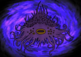 True Form