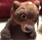 Crack Bear