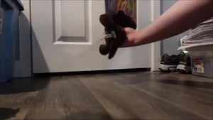 Tress trying to attack the Webkinz and Beanie Babies out of rage...