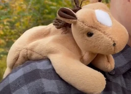 A518F035-7535-4B6A-B744-C971C37BFFAB