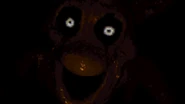 Shitno Close Up