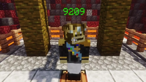 9209 candidate
