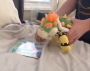 Bowser (DaneTylerPlushies)