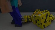 Withered Chica touches Steve