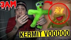 Evil Kermit The Frog Villains Fanon Wiki Fandom