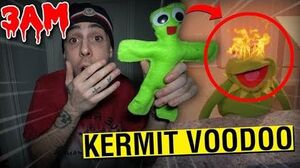 DO NOT MAKE A KERMIT THE FROG VOODOO DOLL AT 3AM!! (IT ACTUALLY WORKED!!)