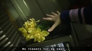 Gaster's flowers in Determined to the End, possibly referencing Flowey.