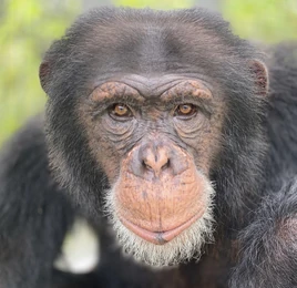 00FE7208-D97D-4C30-8EDE-FA8A3D3E9FDB