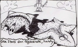 Patrick Regenerate.jpg (36 KB) Another Patrick forms after Sandy slices him in half.