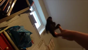 Tress being kicked in the jaws by Frogger, as she is sent flying out of the window.