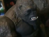 Gorilla (plush world)