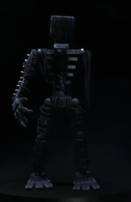 Fallen Endoskeletons, Villains Fanon Wiki