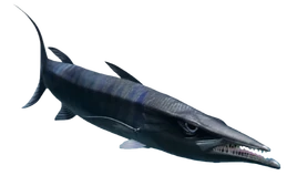 Dfhi8jj-aac931a1-7f55-441c-b18c-9e5c11060895