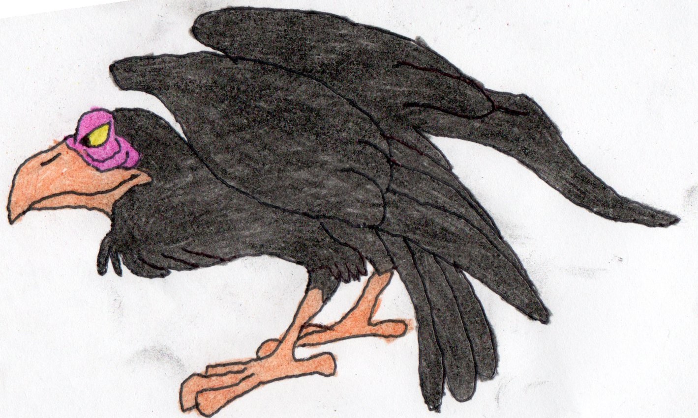 evil raven drawing