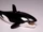 ANB Orca.png