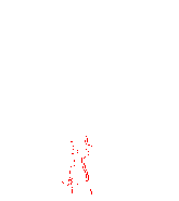 MX Transformation MarioMadness.gif (325 KB) Transformation