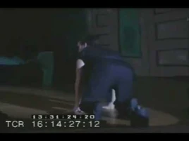 It's Nature, Shit Happens