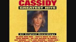 Shaun Cassidy