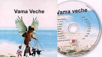 Video Vama Veche Hotel Cismigiu Villain Song Wiki Fandom