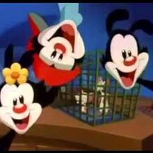 Pinky And The Brain Theme Song Villain Song Wiki Fandom Dave grohl, pat smear, nate mendel. pinky and the brain theme song