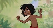 Mowgli (Indian orphaned man-cub, friend of Bagheera and Baloo, enemy of Shere Khan, also made an enemy of Scar, clashed with Scar and hyenas in the earlier events, joined Tarzan's inner circle, fought Zira and Simba/Clayton, teamed up with Timon and Pumbaa to convince Simba to stop the dispute between Simba and Tarzan, caught by Kaa in the attack on the heroes, saved by Rafiki, convinced successfully Simba and Tarzan of Scar and Shere Khan's ploy, clashed with Scar and hyena henchmen in battle of the Pride Lands, confronted the Firebird in his second appearance, saved by Mickey Mouse, joined the wilderness heroes in overtaking Pride Rock, contributed his effort in stopping Shere Khan, forced to escape during the Lava Titan's revelation, joined the main resistance movement, contributed his effort in stopping Maleficent and Chernabog in battle of Bald Mountain, survived and returned to Pride Rock to praise Simba as the righful king, presumably returned to the Indian jungles)