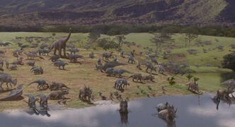 Herd