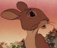 Fiver (Prophet of the Watership Down Warren, younger brother of Hazel, non-combatant, mainly gave away information of the villains' scheme and herald, contributed his effort in stopping Mok, Maleficent, Scar, Chernabog, and their allies in various battles and fights, including the battle of Bald Mountain, found refuge in the North American forests along with many other woodland critters)