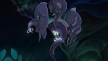Electric Eels