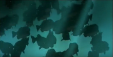 Piranhas (Help! I'm A Fish).png