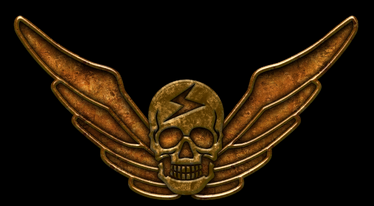 Shadaloo logo