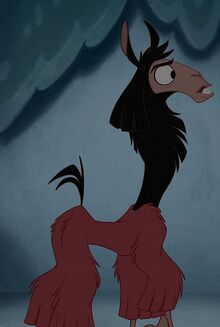 Kuzco