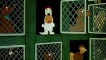 Stray Dogs.jpg