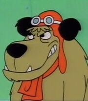 Muttley-yogis-treasure-hunt-53.6.jpg
