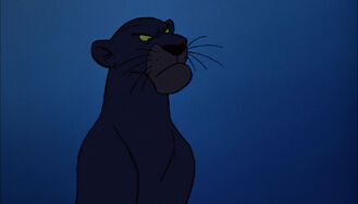 Bagheera