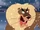 Lion (Doggie March)
