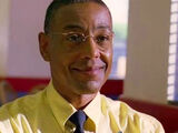 Gustavo Fring's Drug Empire