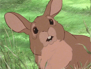 Pipkin (Additional member of the Watership Down Warren, companion of Hazel, minor combatant, contributed his effort in stopping Mok, Maleficent, Scar, Chernabog, and their allies in various battles and fights, including the battle of Bald Mountain, found refuge in the North American forests along with many other woodland critters)