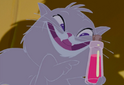 Yzma Cat.png