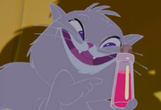 Yzma Cat