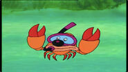 Rudy the Crab