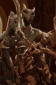 The Nomes.jpg