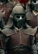 Military of the Fire Nation (Former soldiers of the faction, it is known that they possibly fled with Zhao after Ozai's death)