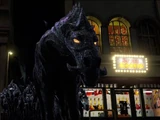 Pitch Black's Alliance
