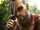 Vaas Montenegro