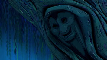 Grandmother Willow